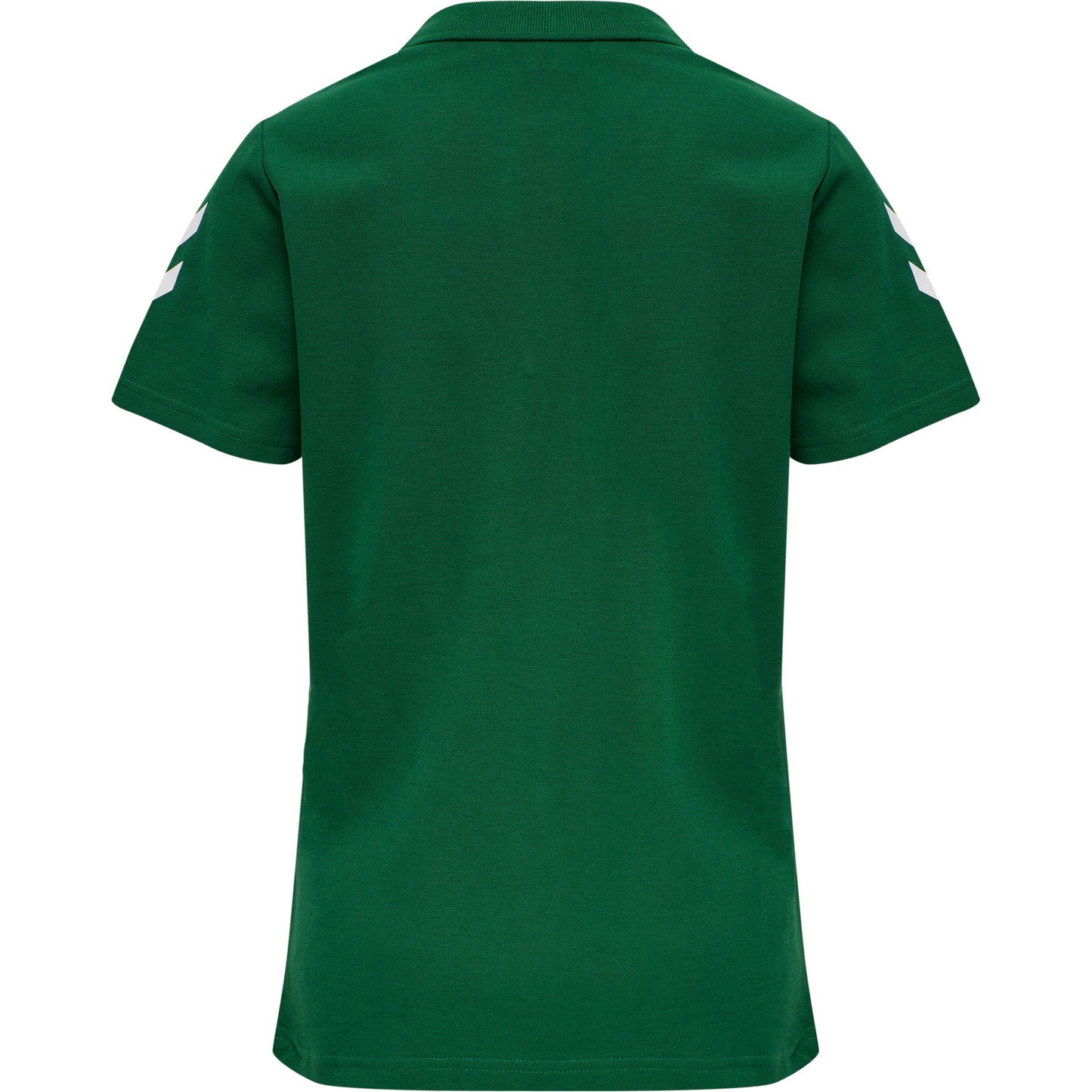 6140-EVERGREEN