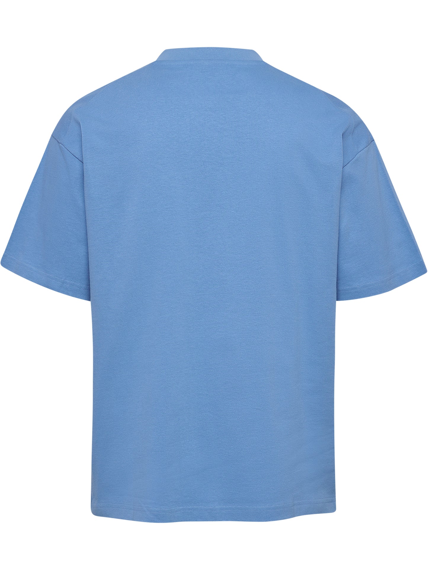 7373-LICHEN BLUE
