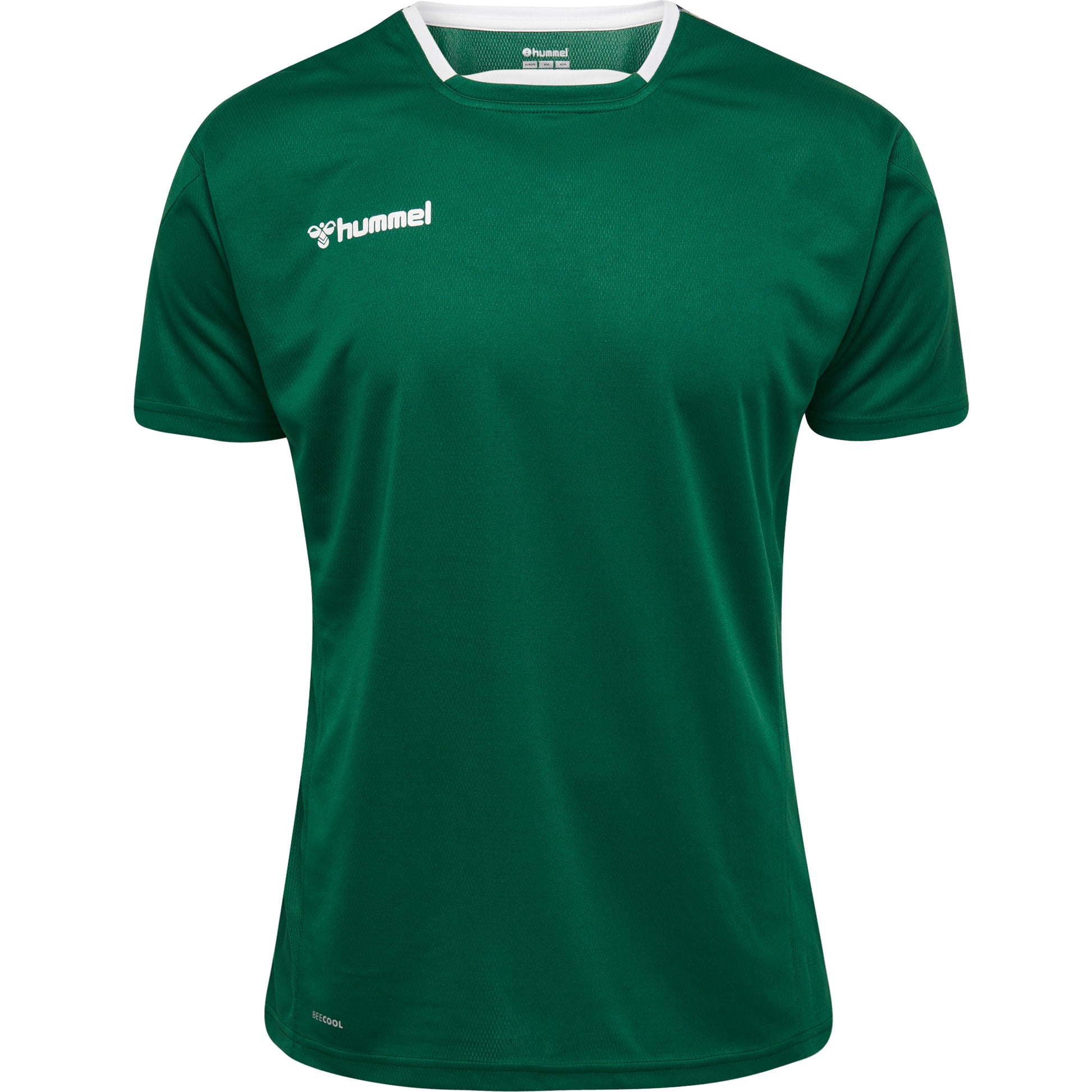 6140-EVERGREEN