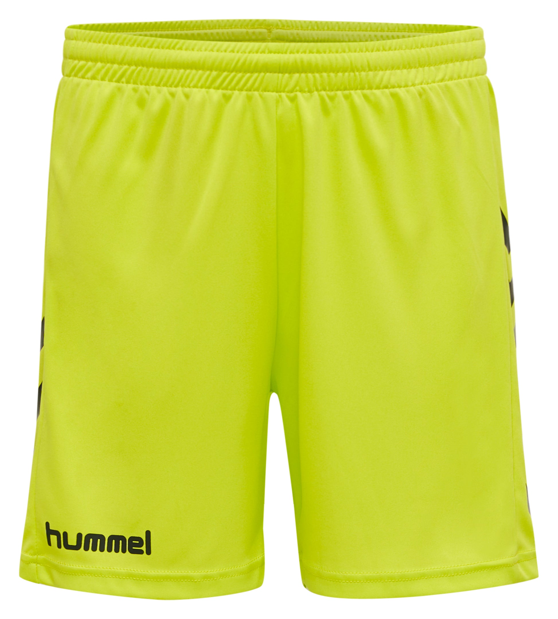 6102-EVENING PRIMROSE