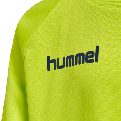 6242-LIME PUNCH