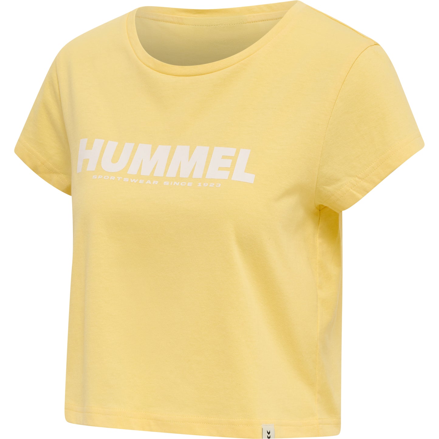 5081-GOLDEN HAZE