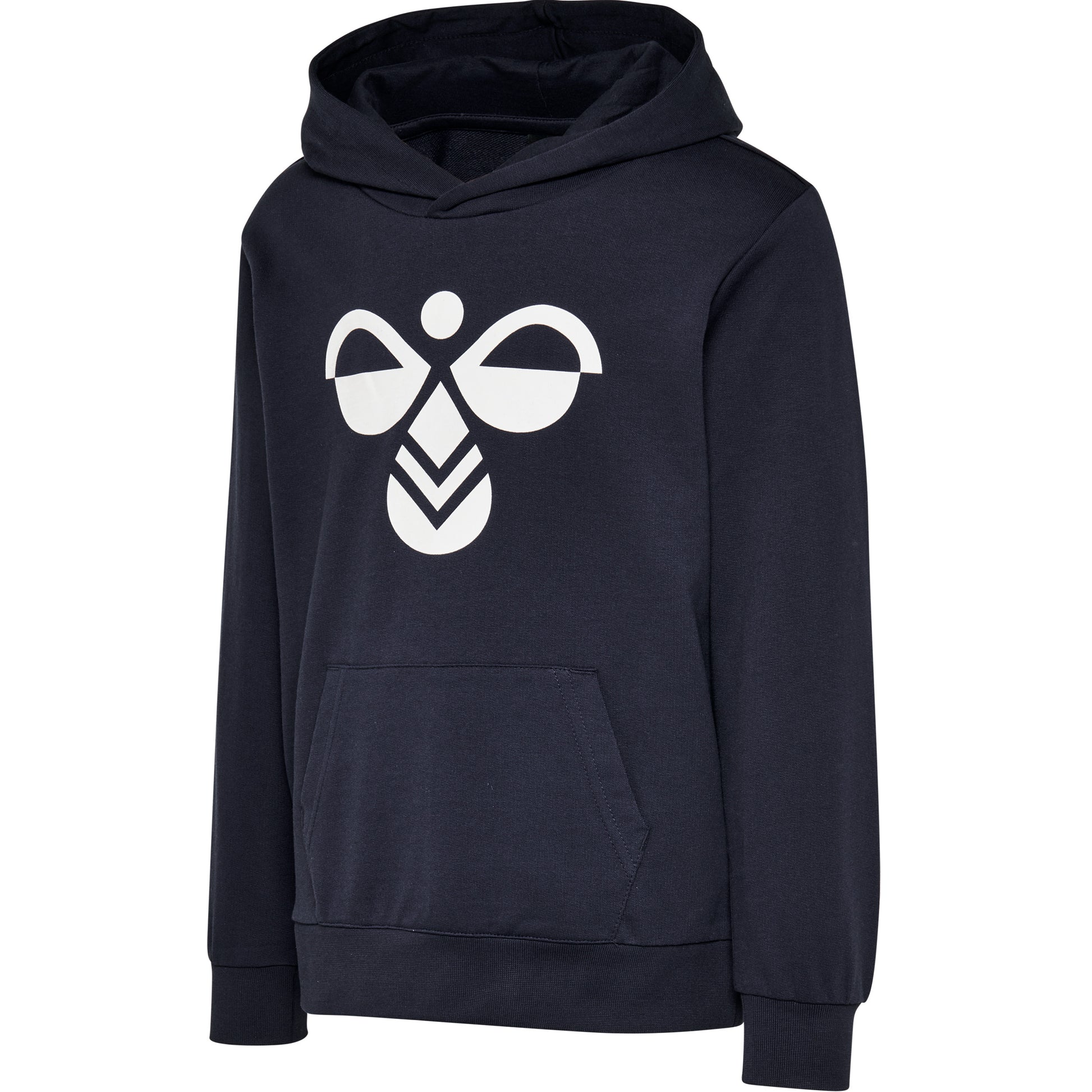 1009-BLACK IRIS