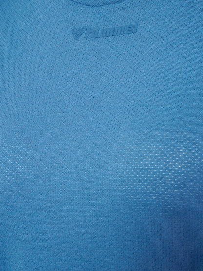 4250-CORONET BLUE