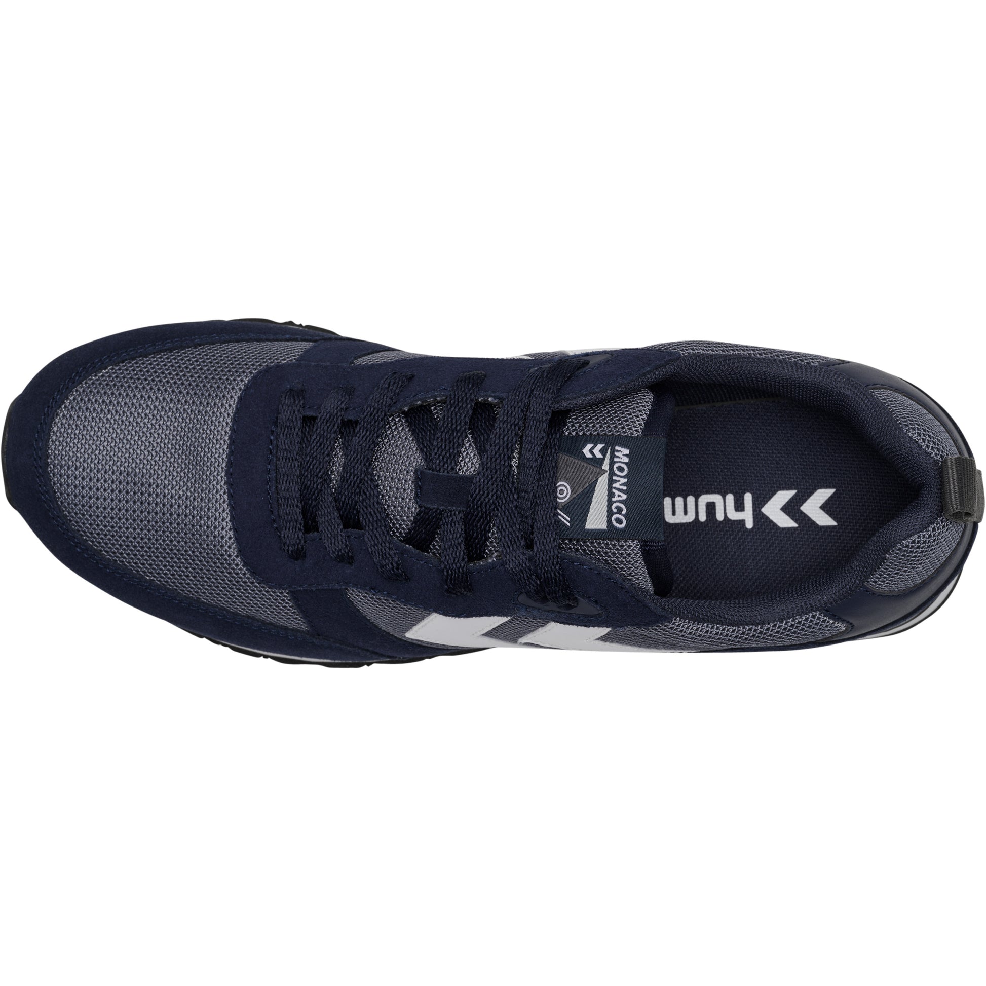 1009-BLACK IRIS