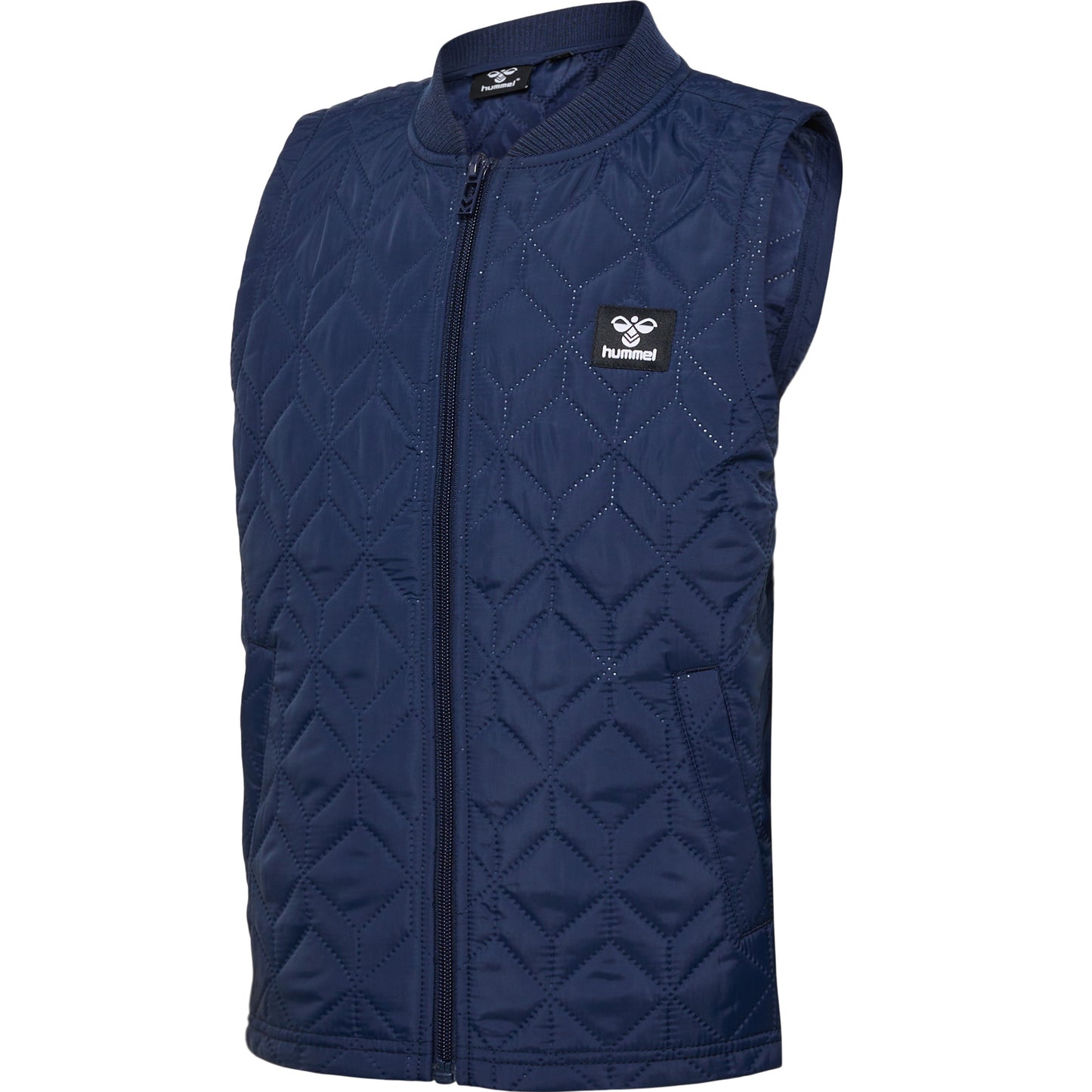 1009-BLACK IRIS