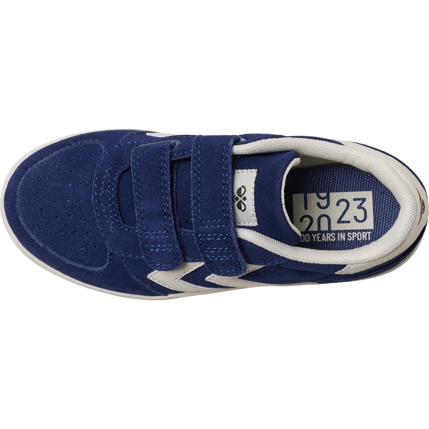 7017-NAVY PEONY