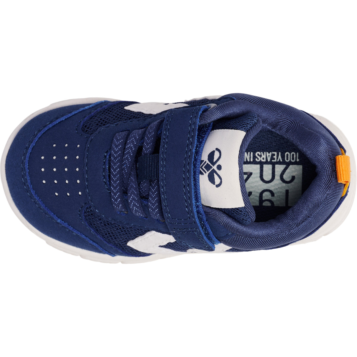 7017-NAVY PEONY