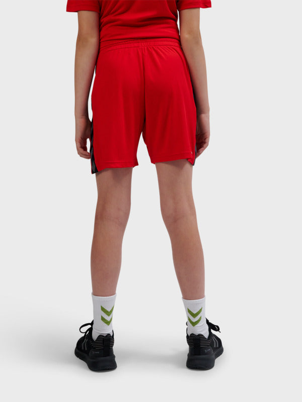 3062-TRUE RED