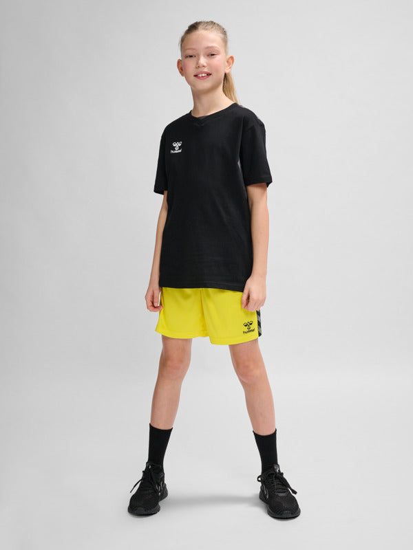 5269-BLAZING YELLOW