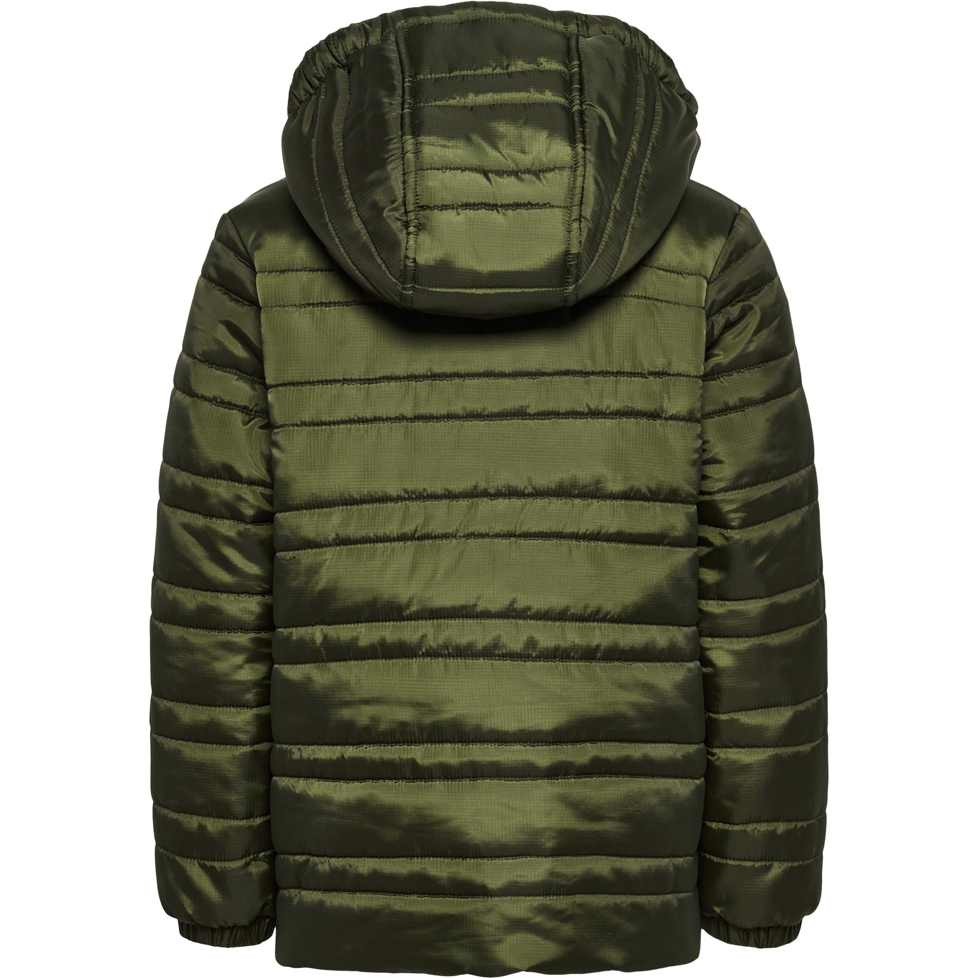 6453-OLIVE NIGHT