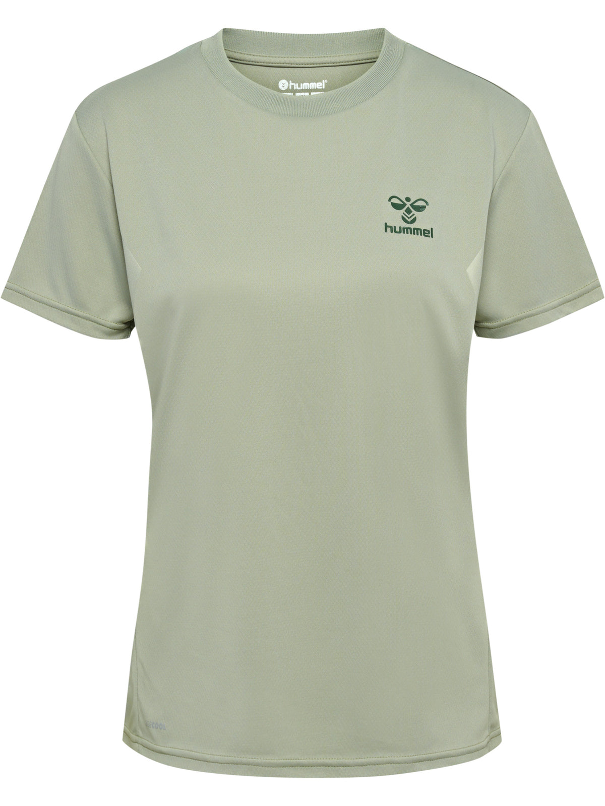 0521-DESERT SAGE