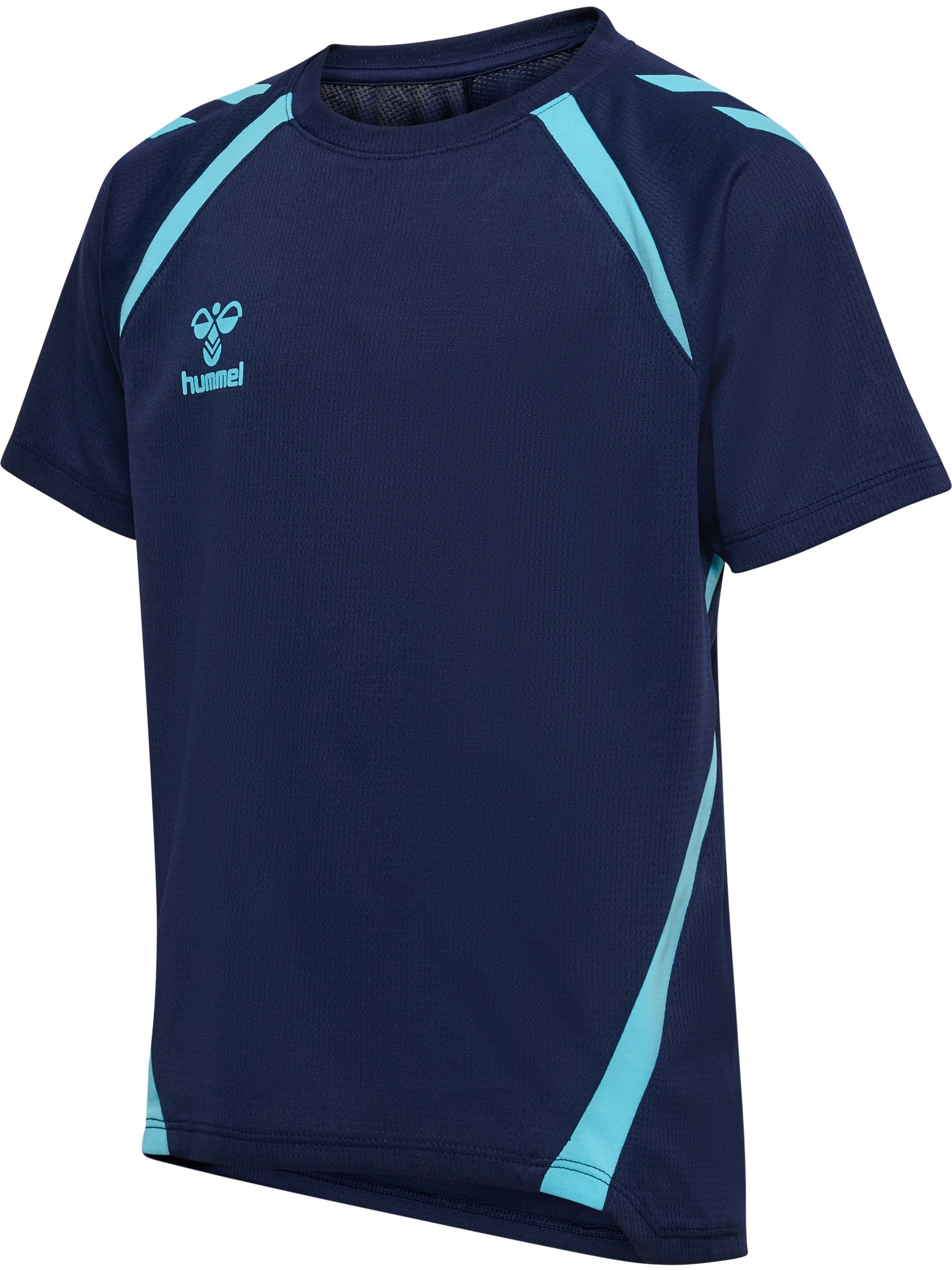 7553-MARINE/BLUE FISH