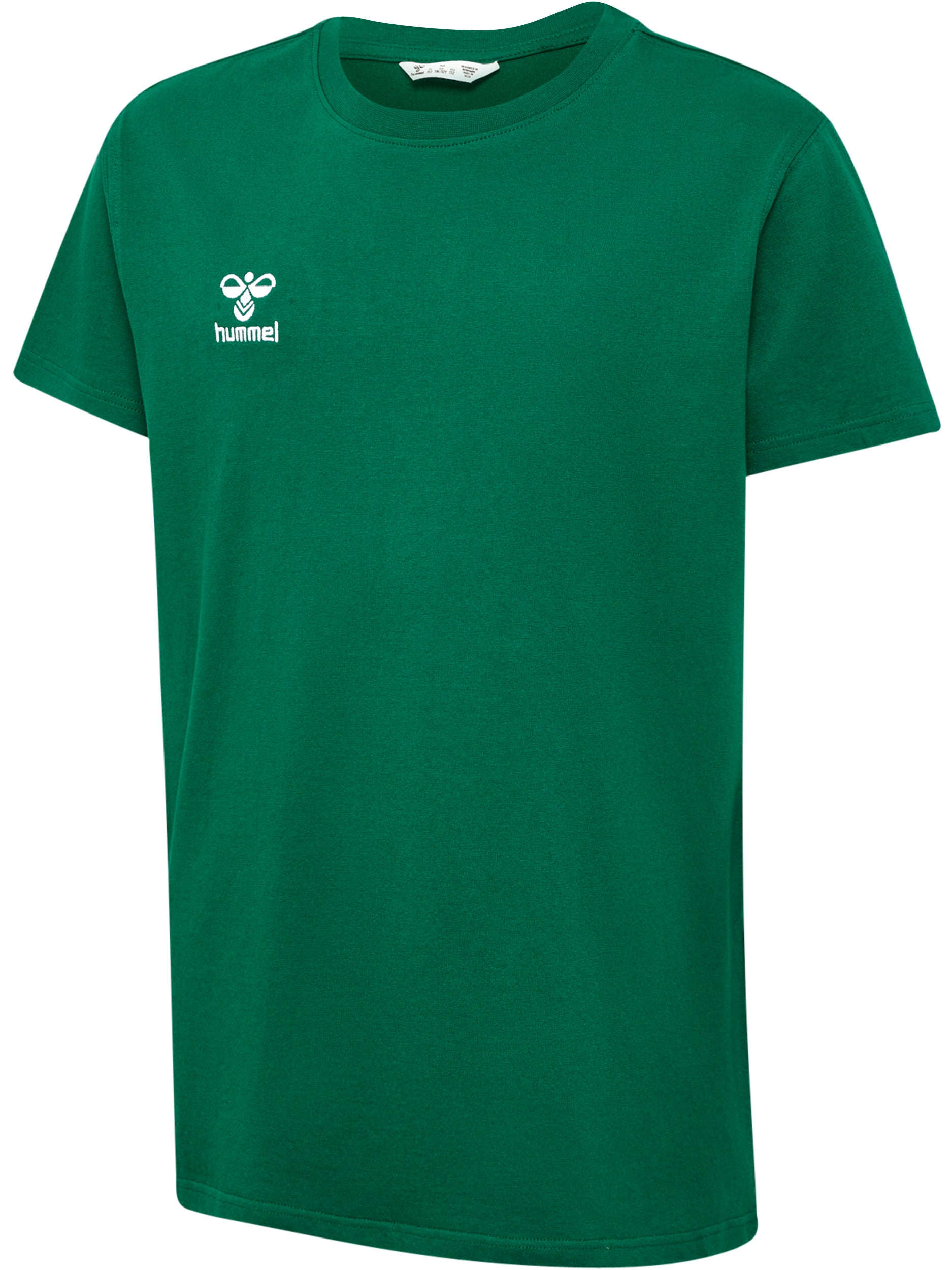 6140-EVERGREEN