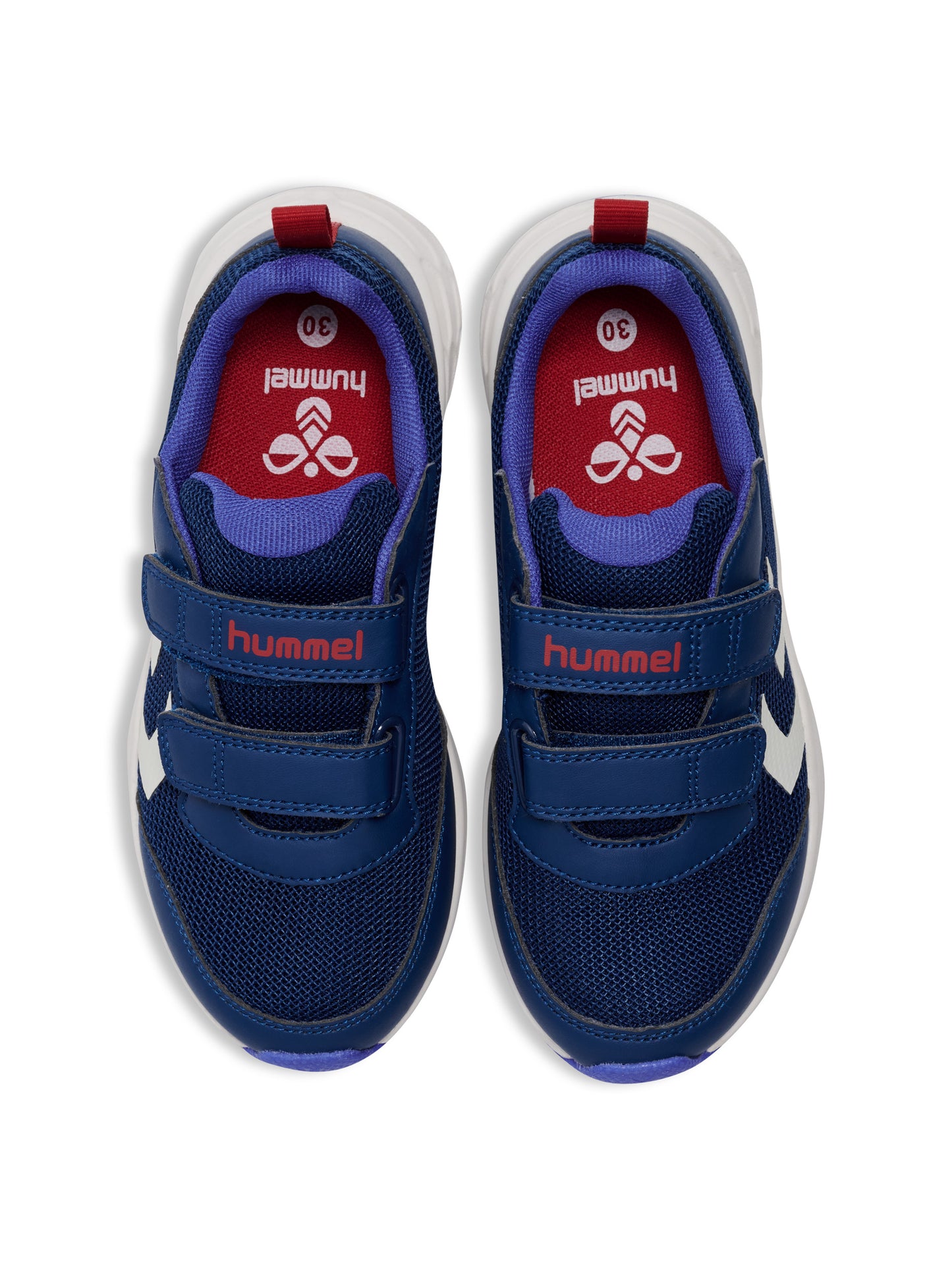 7017-NAVY PEONY