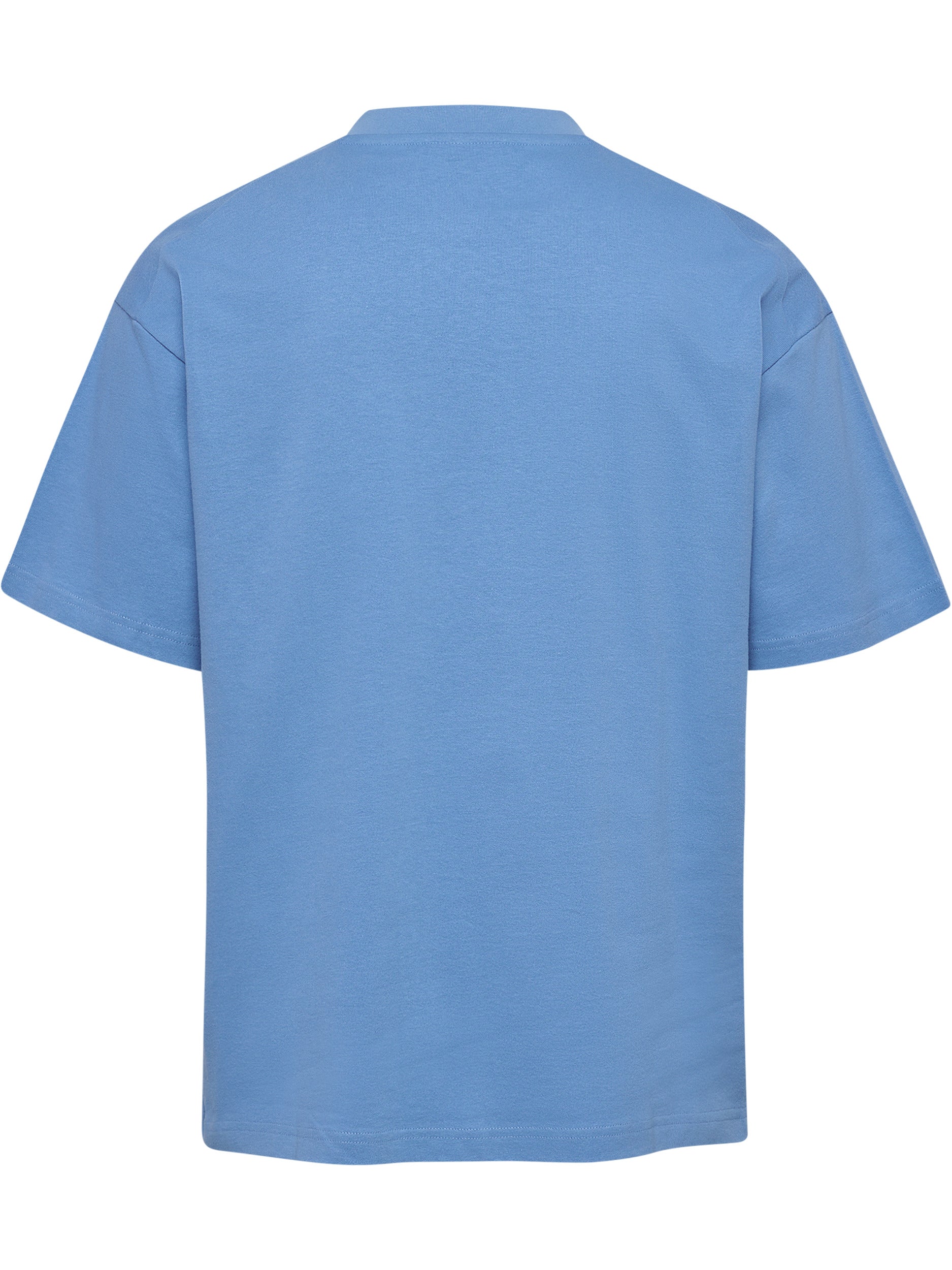 7373-LICHEN BLUE