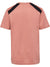 3798-ROSE DAWN/ROSE DAWN