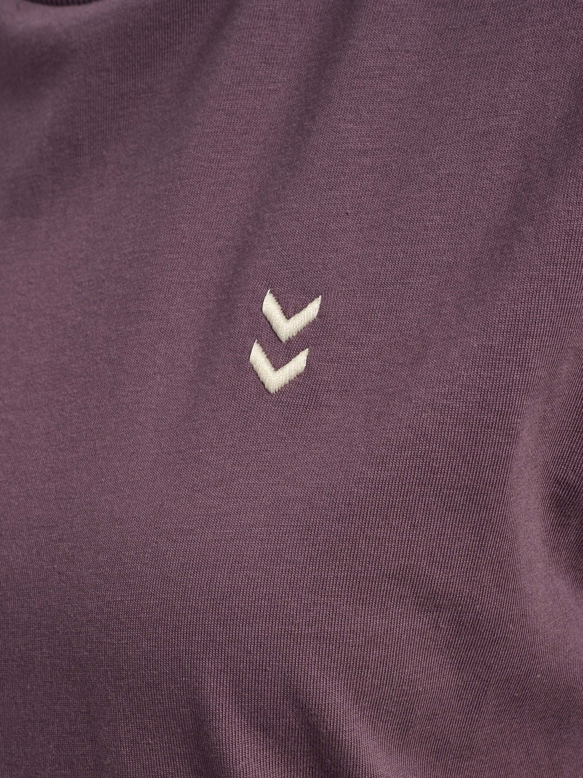 4856-BLACK PLUM