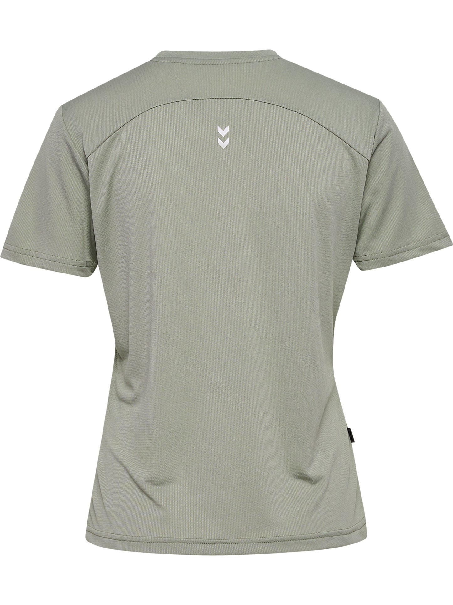 6092-SEAGRASS