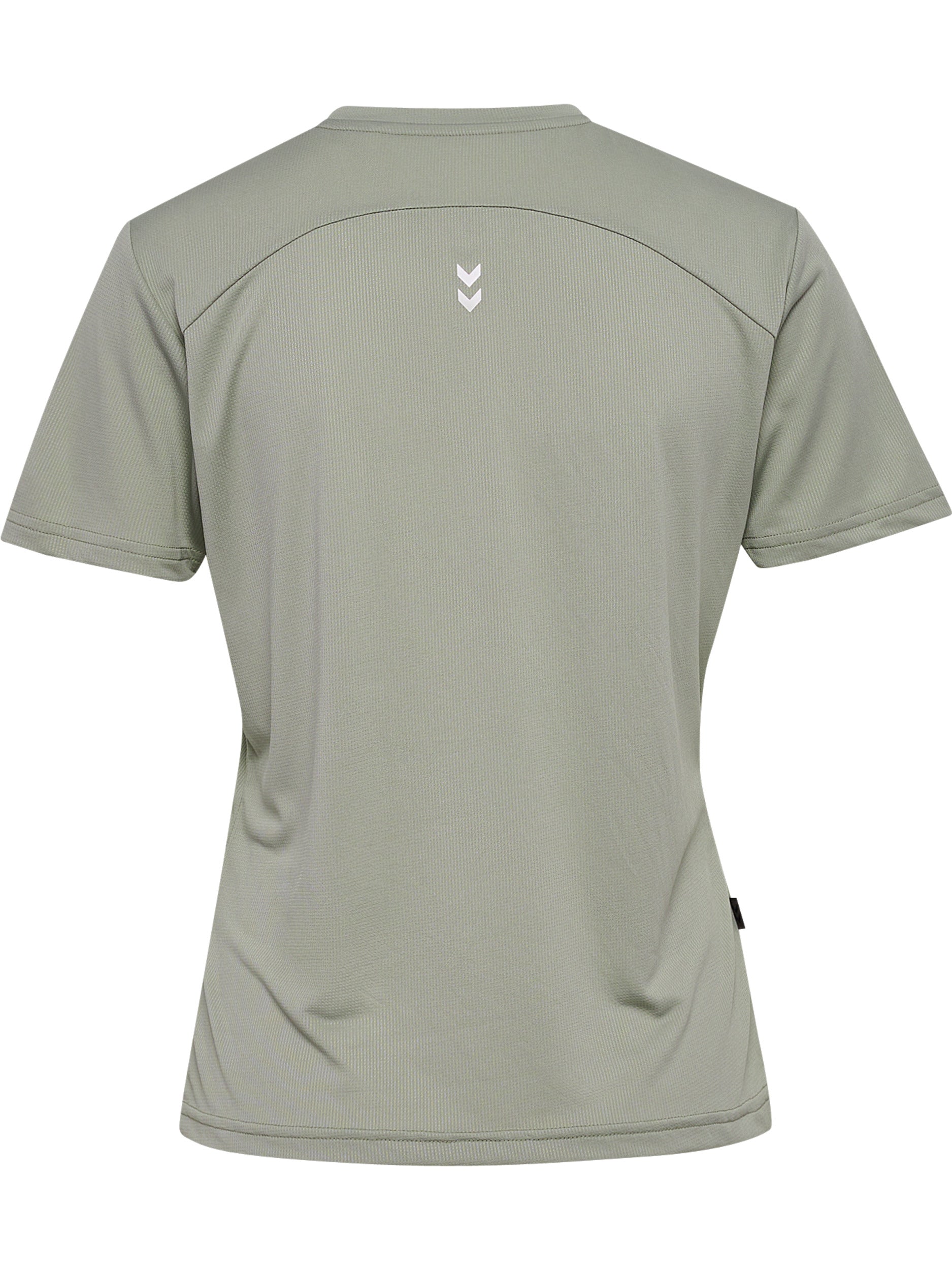 6092-SEAGRASS