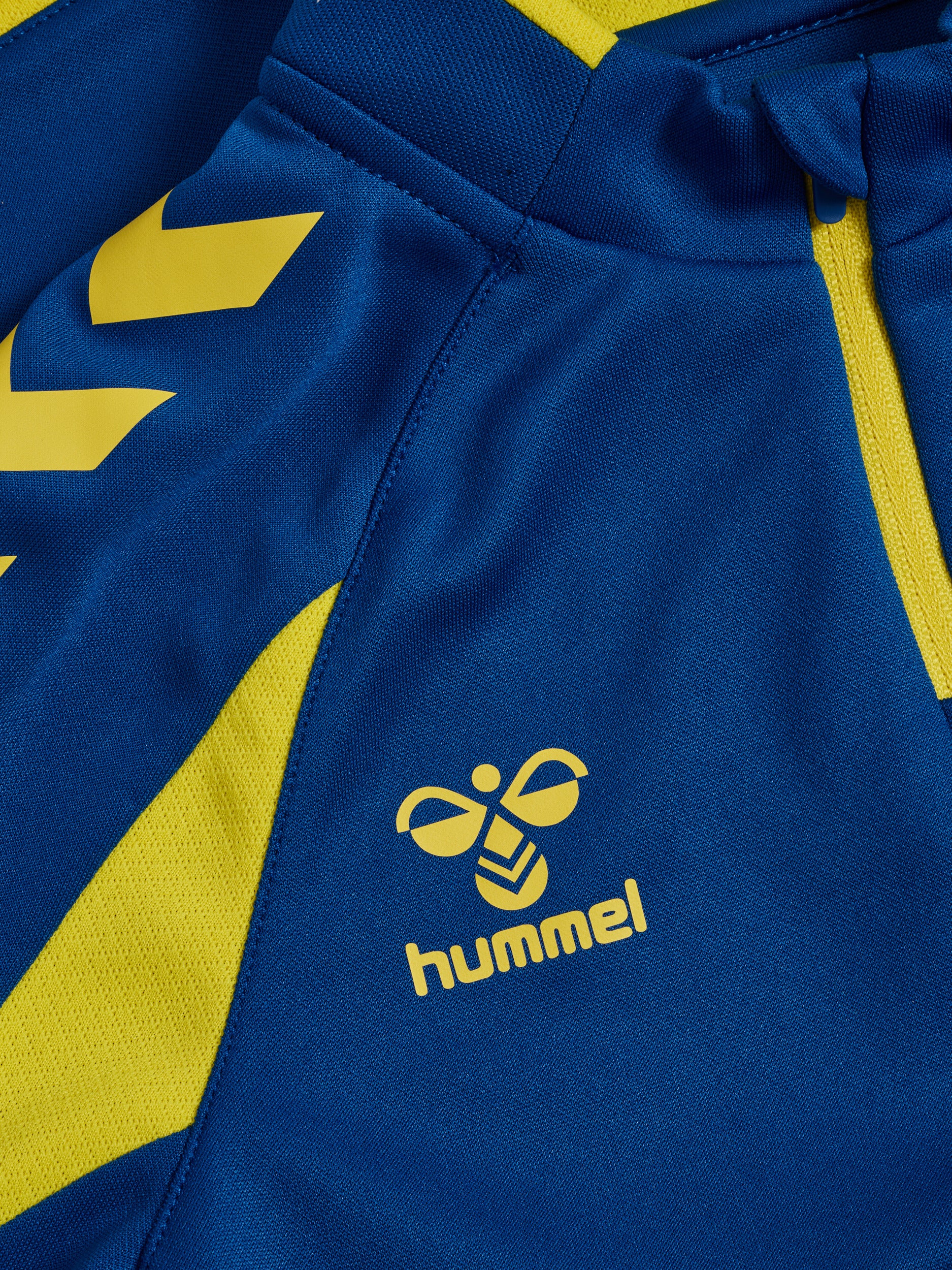 8606-TRUE BLUE/BLAZING YELLOW