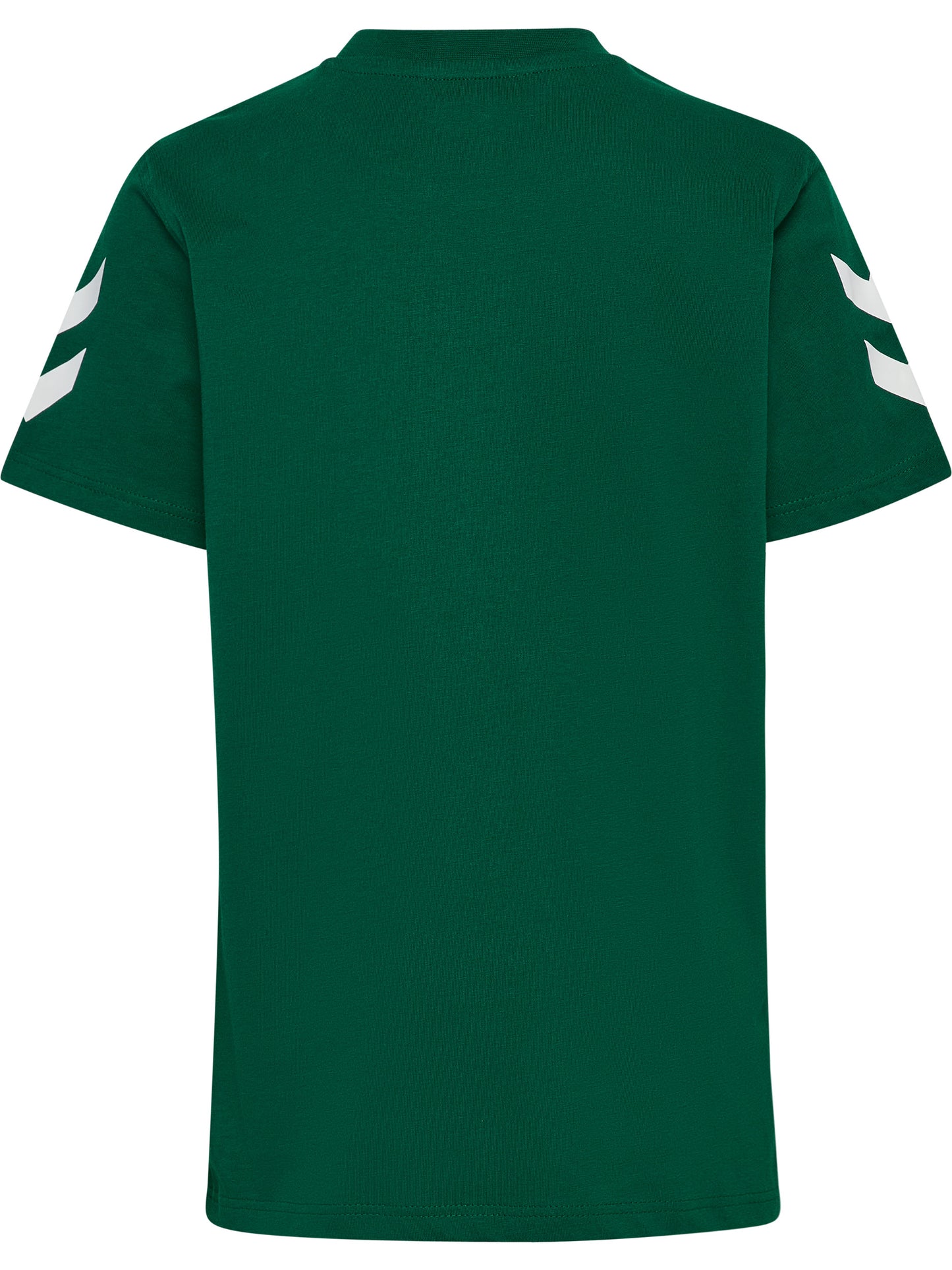 6140-EVERGREEN