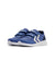 7379-DUTCH BLUE