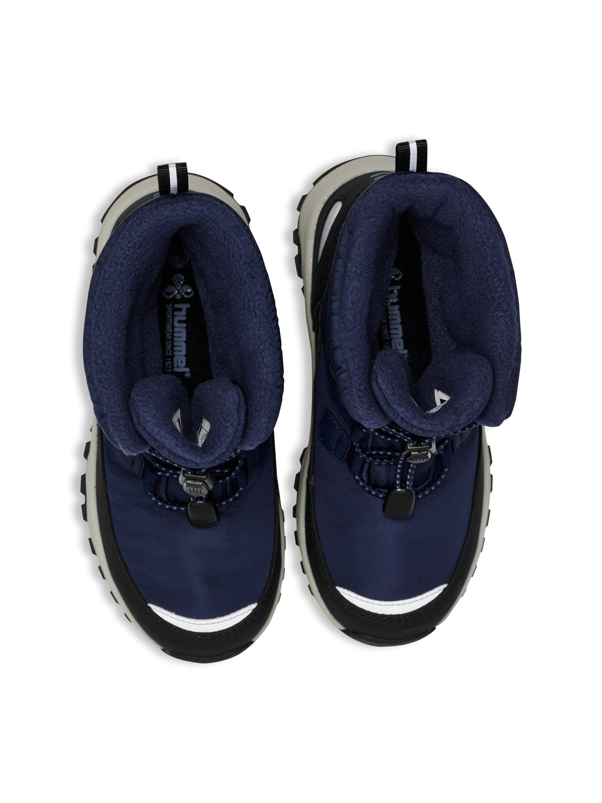 1009-BLACK IRIS